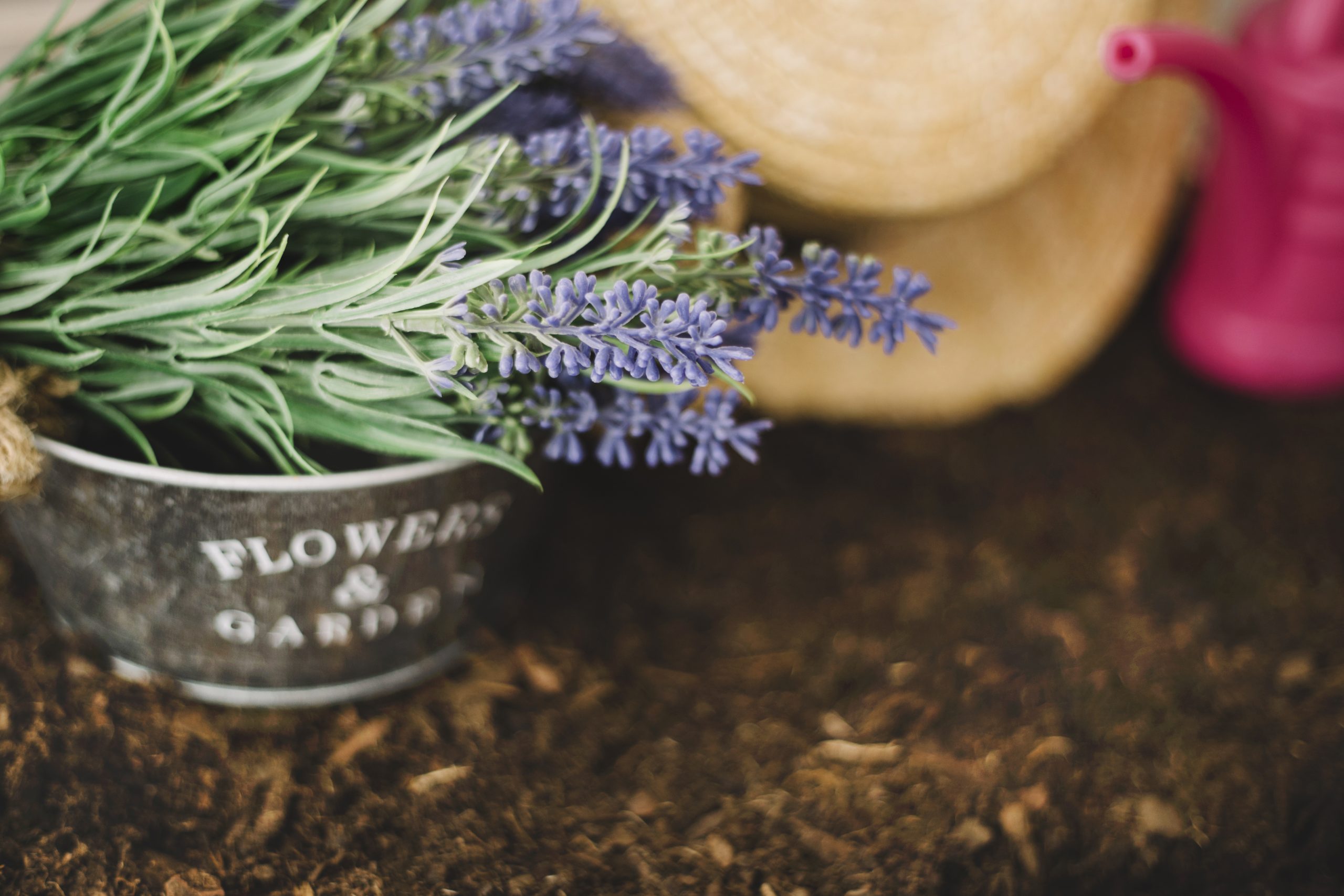 Lavendelzweige in einem grauen Metalltopf mit Aufschrift „Flowers & Garden“, im Hintergrund Gartenutensilien